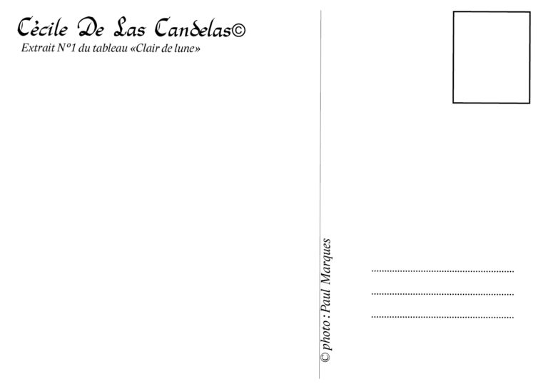 N°87 - Carte "Claire de lune"